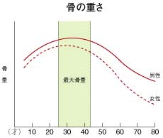 骨の重さのグラフ